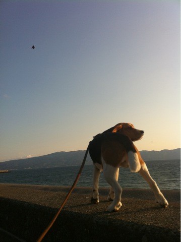 IMG_4127umi