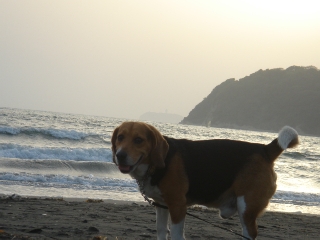 img20060503_7.jpg