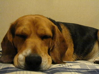 img20060129.jpg