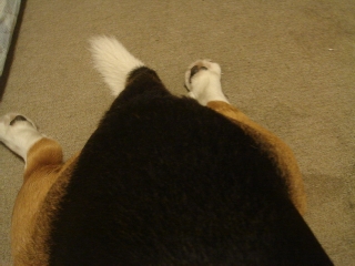 img20070726_3.jpg