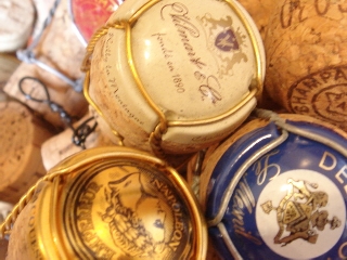 img20070517_1.jpg