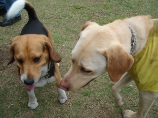 img20050602_3.jpg