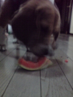 20080731233033suika.jpg