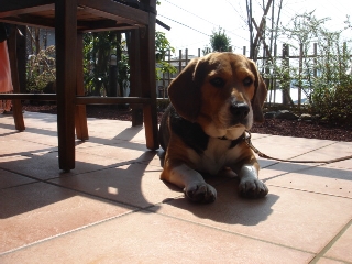 img20060327.jpg