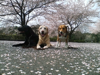 img20060406_1.jpg