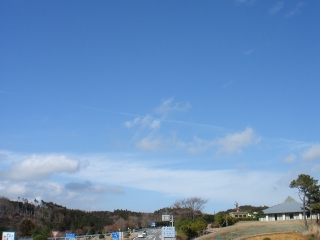 img20060315.jpg