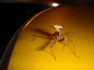 img20061101.jpg