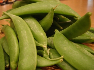 img20050513.jpg