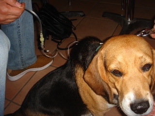 img20070726_2.jpg