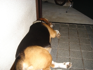 img20050814_2.jpg