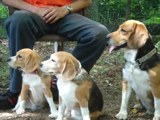 img20050819_1.jpg