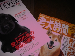 img20050713.jpg