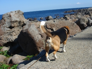 img20060320_2.jpg