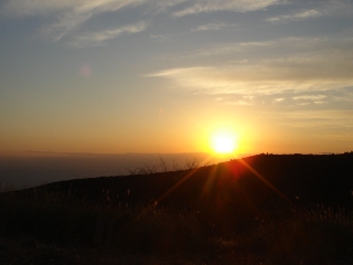 img20070110.jpg
