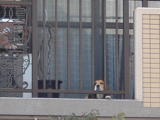 img20050930.jpg