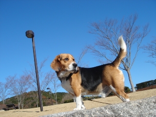 img20051231.jpg