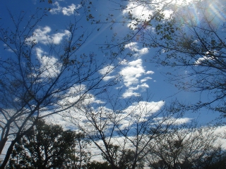 img20061008_1.jpg