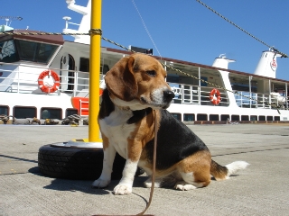 img20060320.jpg