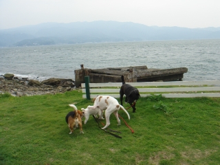 img20060530_1.jpg