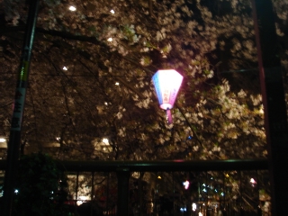 img20060403_2.jpg