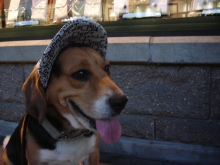 img20050914.jpg