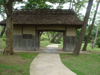 img20090720.jpg