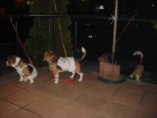 img20050923.jpg