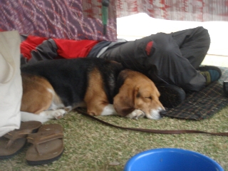 img20070924_5.jpg