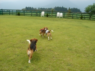 img20050914_1.jpg