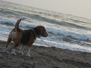 img20060503_8.jpg