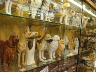 img20060131_1.jpg
