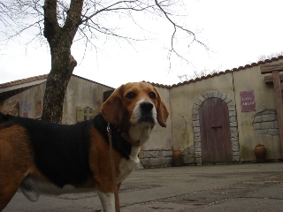 img20060227_1.jpg