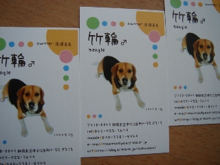 img20050706.jpg