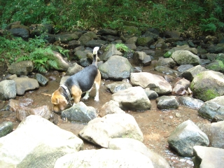 img20050723_1.jpg