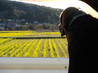 img20060315_2.jpg