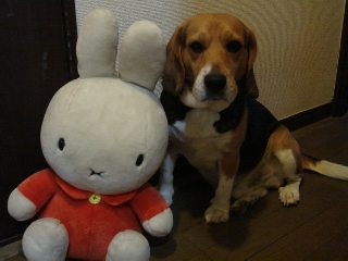 img20060220.jpg