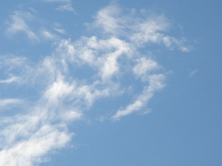 img20050908.jpg