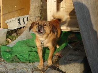 img20050929.jpg