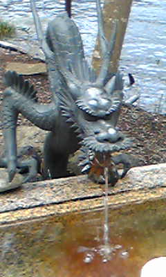 Image12227ryu