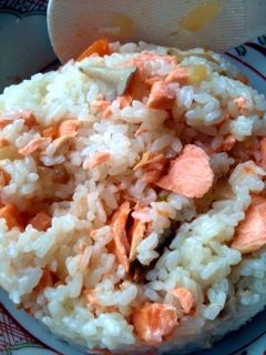 IMG_2586gohan