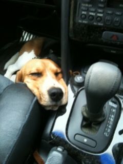 __neru のリサイズ画像