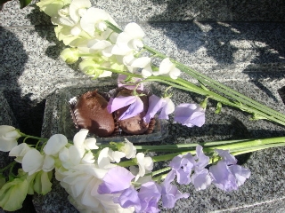 img20090319.jpg