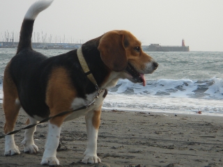 img20060503_6.jpg