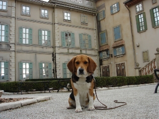 img20060227_3.jpg