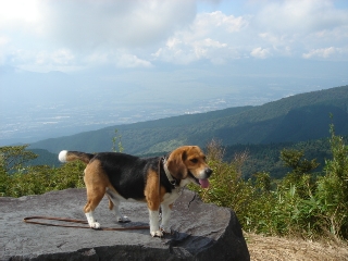 img20050914_2.jpg