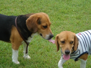 img20050914_2.jpg