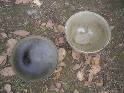 IMGP5292