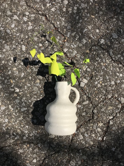 D50E85A8-07B4-4841-A425-F2F241B6FFC1