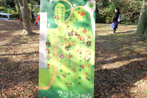 DSCF4542