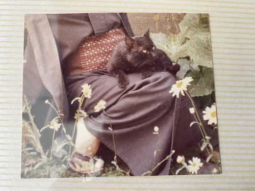 EEB58065-30BD-4D71-AA24-A62062BA0690